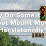 The Orientation Enigma: Uncovering Why States Mount Traffic Lights Horizontally