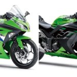 2026 Kawasaki Ninja 300 Launch Price, New Colours & Specs – Rs 3.17 Lakh