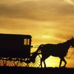 Amish Communities Adopt E‑Bikes – A Surprising Shift From Horses