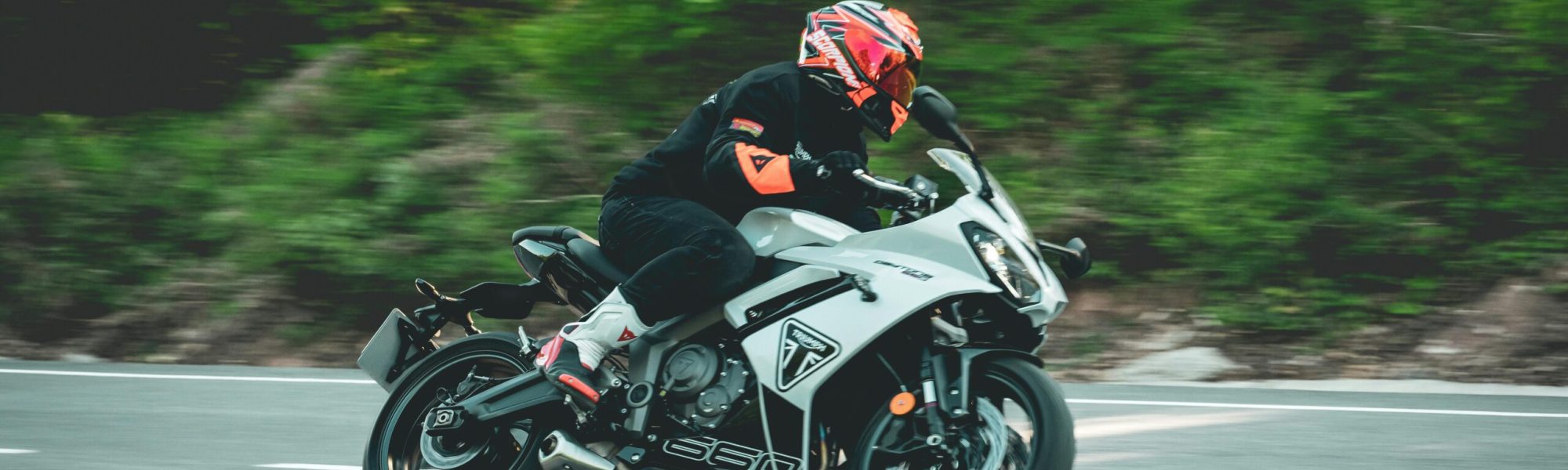 pexels-entero-32206247