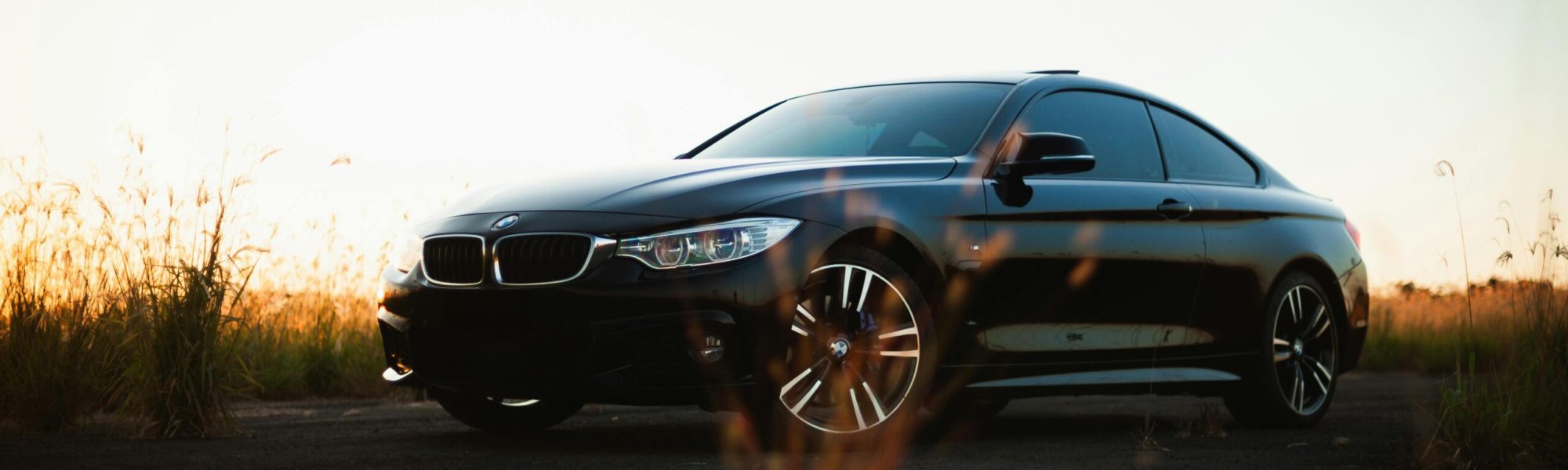 pexels-erickmarynowski-19821963