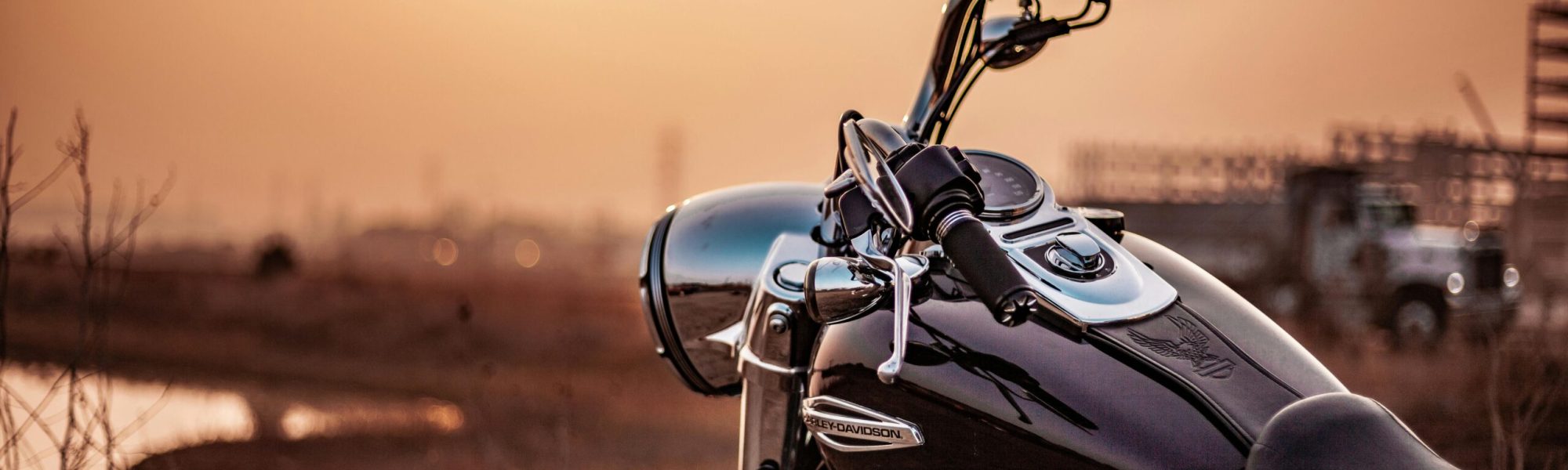 pexels-nicholas-dias-1119542-2116475