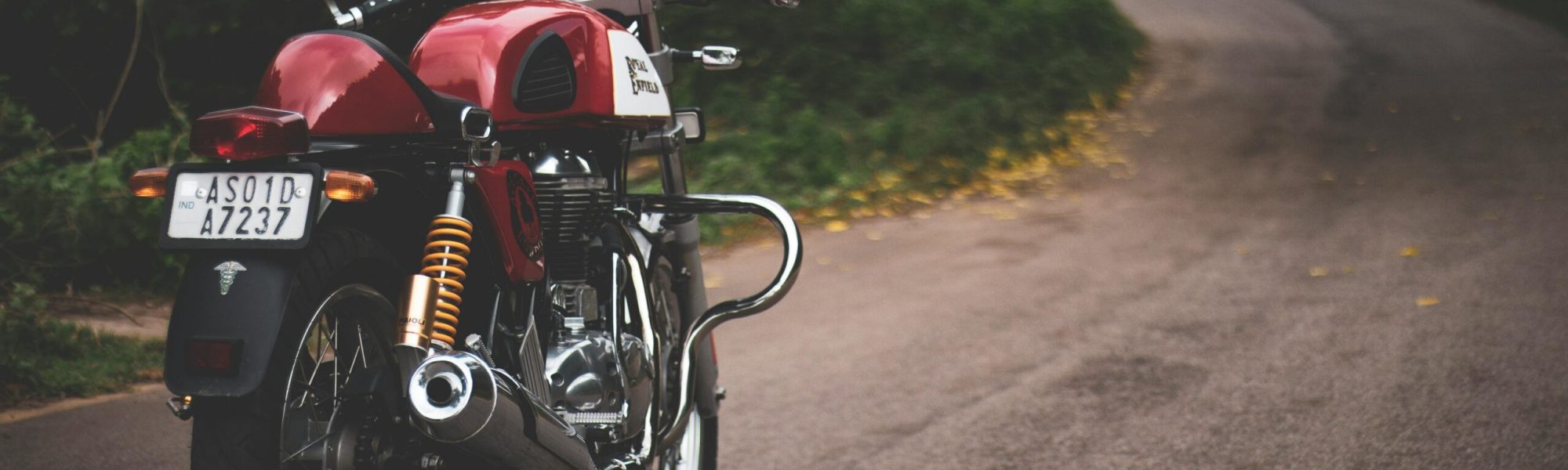 pexels-pragyanbezbo-1715186