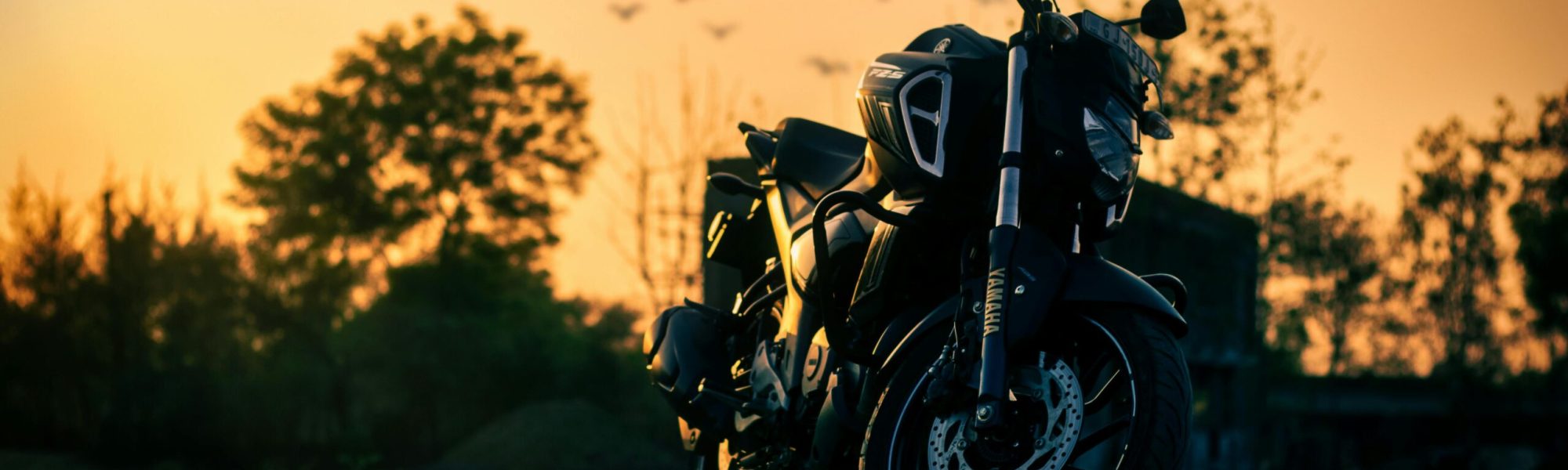 pexels-sahil-patel-2505588-7536424